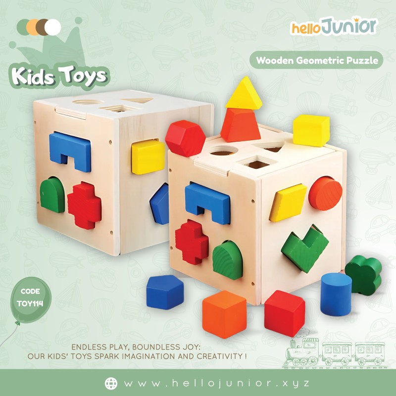 Wooden Fifteen Hole Shape Intelligence Box | Colorful Educational Toy for Kids 3+ Years